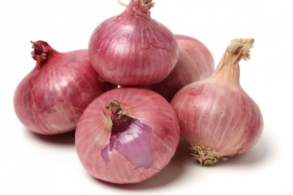 Tor гидра ссылка hydra ssylka onion com