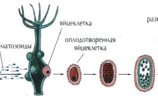 Почему не заходит на кракен