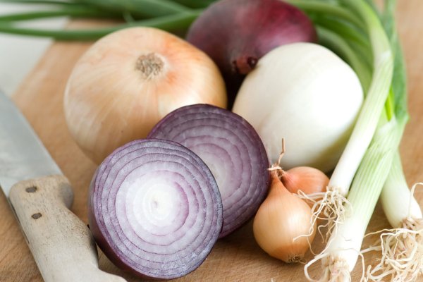 Kraken istand onion